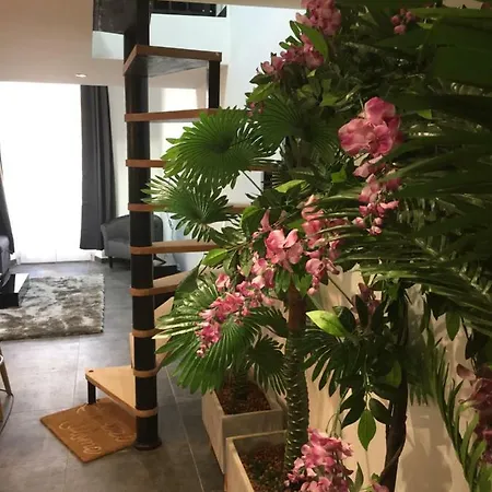 Loft Old Town - New 2018 !